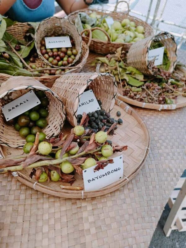 Boracay Island Foraging with Hidden Beach Experience - Final Thoughts