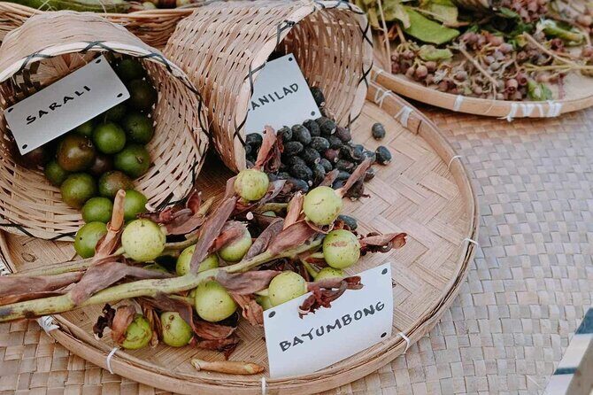 Boracay Island Foraging with Hidden Beach Experience - Key Points