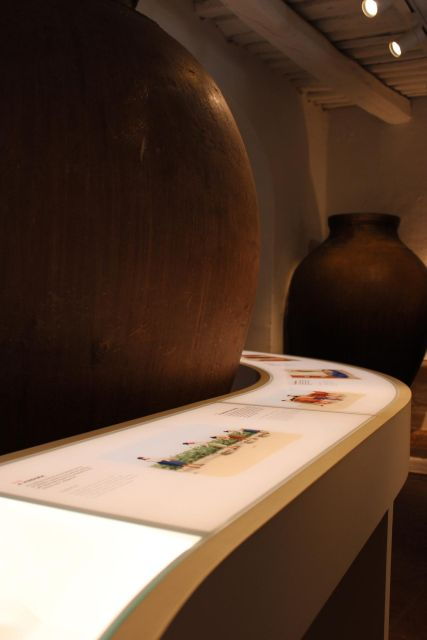 borba-winery-and-amphora-wine-tour-and-tasting