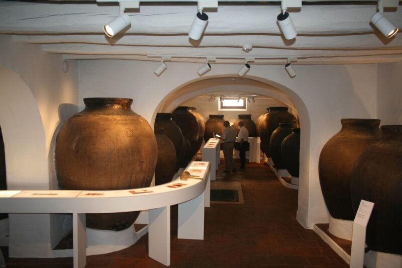 borba-winery-tour-with-wine-and-alentejo-products-tasting