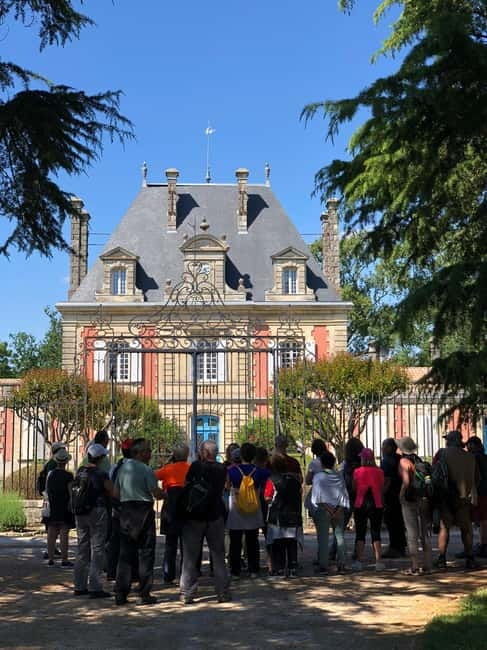 Bordeaux: Château Saint Ahon classic tour - Tasting and Educational Insights  