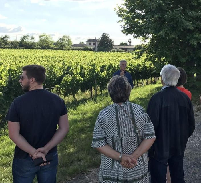 bordeaux-explore-an-organic-family-vineyard-with-tasting
