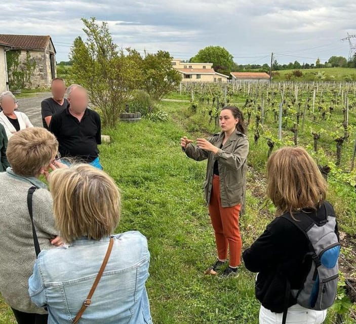 bordeaux-explore-an-organic-family-vineyard-with-tasting