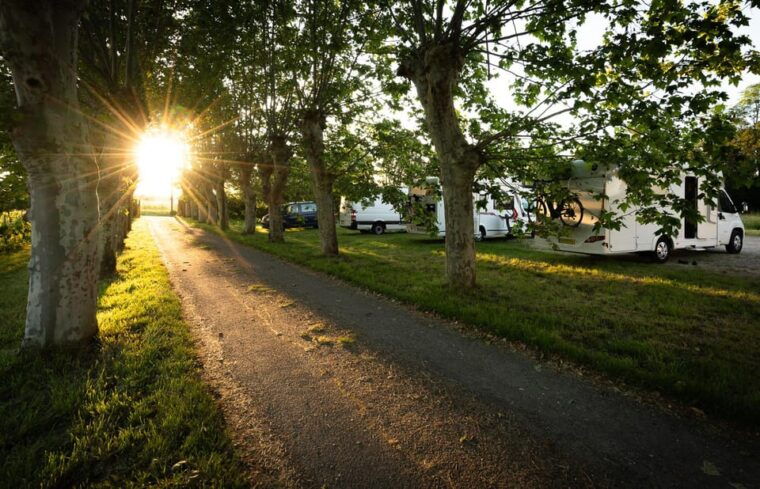 bordeaux-explore-an-organic-family-vineyard-with-tasting