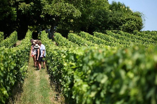 bordeaux-full-day-medoc-and-st-emilion-wine-tour-with-lunch