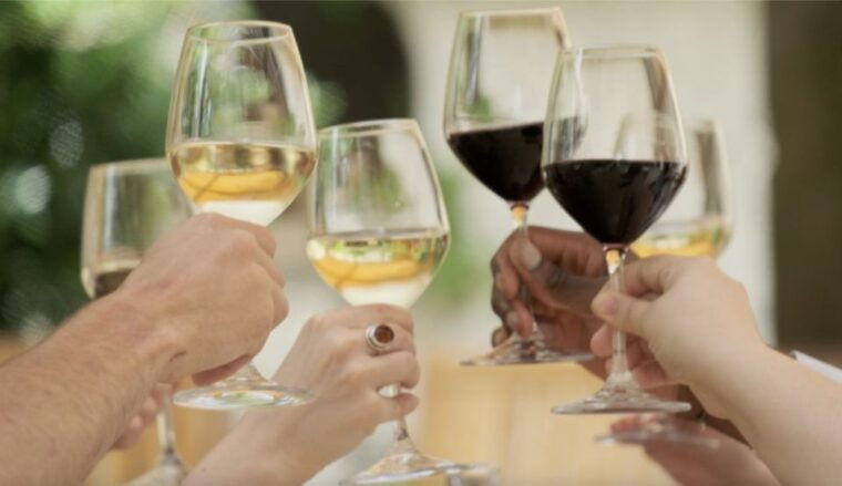 bordeaux-full-day-wine-tastings-lunch