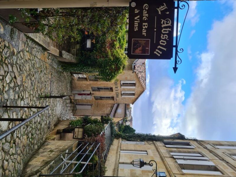 bordeaux-full-day-wine-tour-3-wineries-picnic-lunch