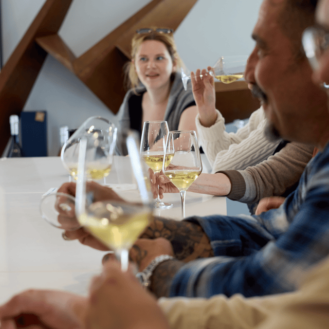 bordeaux-half-day-margaux-tour-with-wine-tastings