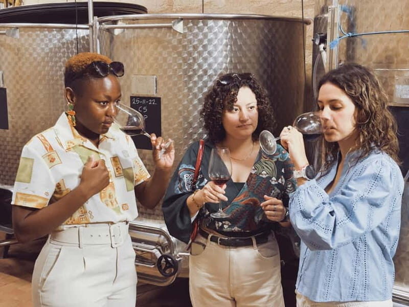 Bordeaux: Half-Day Private Natural Wine Tour & Tasting - Key Points
