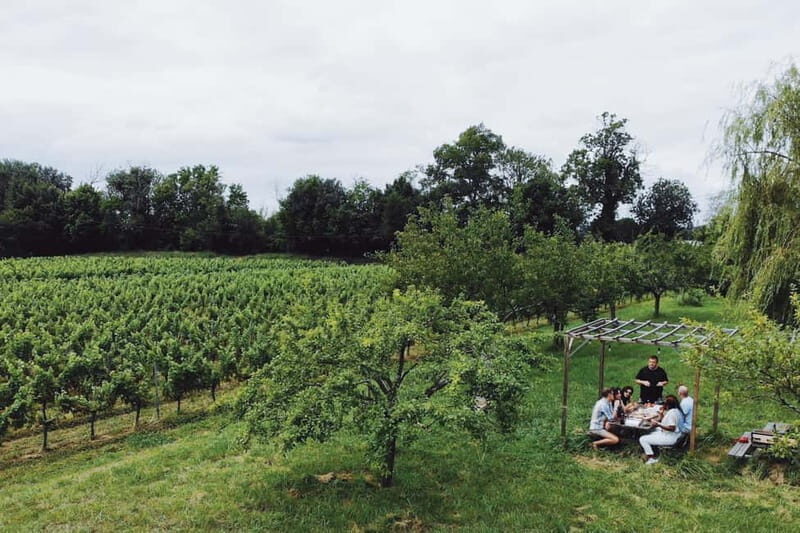 Bordeaux: Half-Day Private Natural Wine Tour & Tasting - Practical Details & Tips