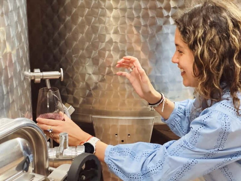 Bordeaux: Half-Day Private Natural Wine Tour & Tasting - Final Thoughts