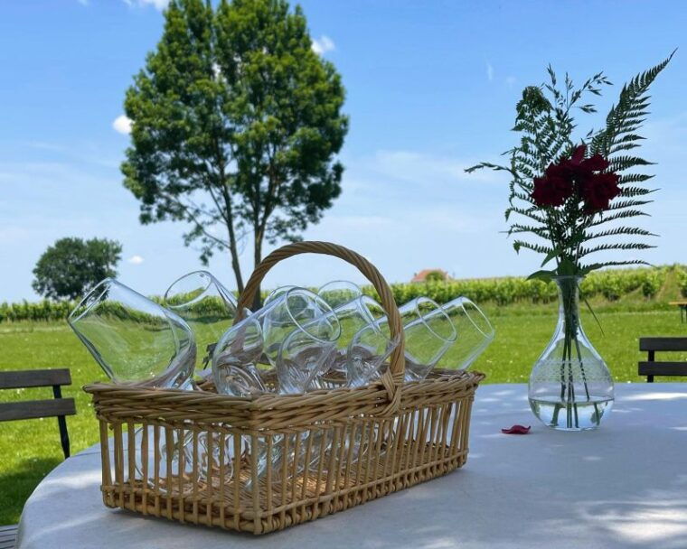 bordeaux-medoc-st-emilion-wine-regions-tour-with-tastings