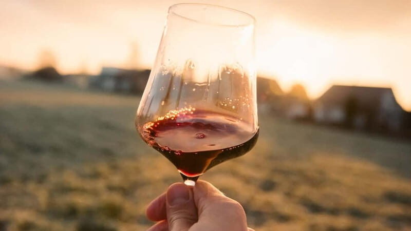 Bordeaux: Médoc Wine Route Private Day Tour & Picnic Lunch - Practical Details
