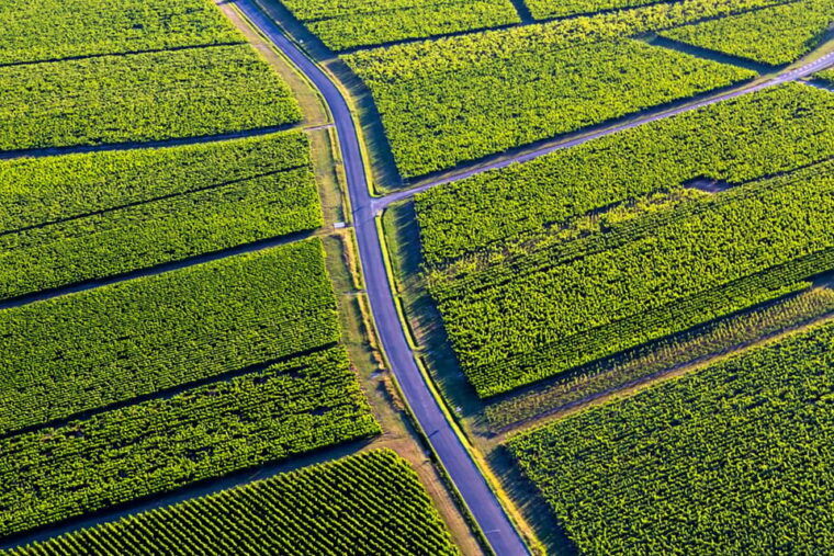 bordeaux-panoramic-flight-over-vineyards-and-chateaux