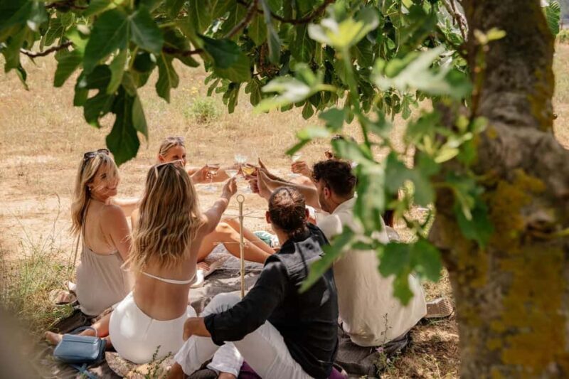 Bordeaux: Private Horseback Ride + Wine Tasting + Picnic - Practical Details and Logistics
