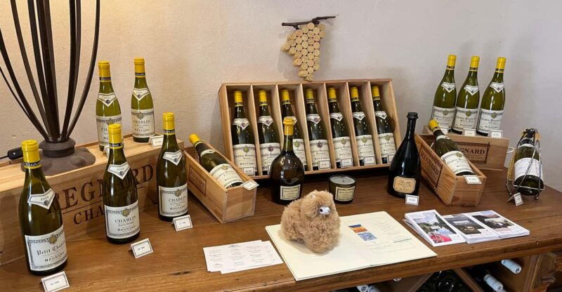 bordeaux-private-walking-tasting-tour