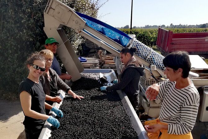 BORDEAUX region UNCORKED - Private Premium Enological Adventure - FAQ