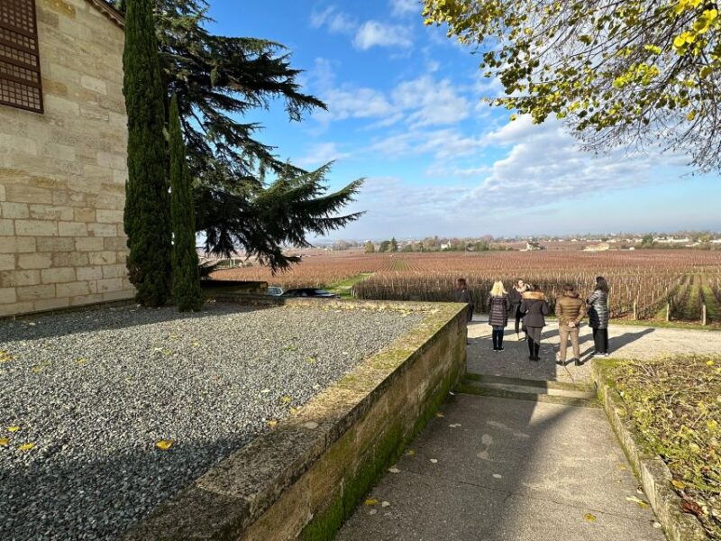 bordeaux-saint-emilion-wine-tour-in-a-small-group
