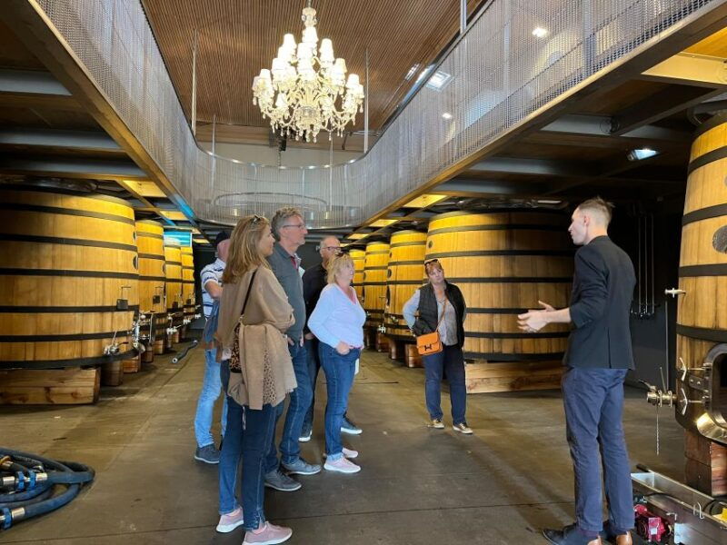 bordeaux-saint-emilion-wine-tour-in-a-small-group