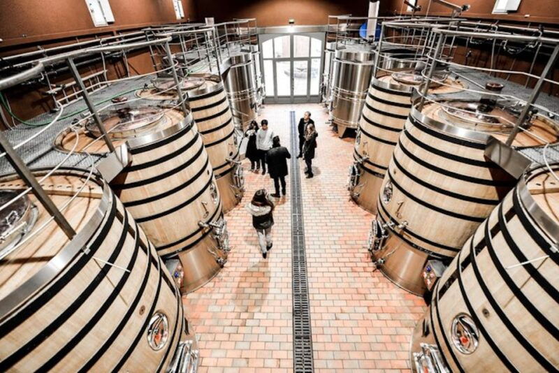 bordeaux-st-emilion-and-medoc-wine-day-tour-with-lunch