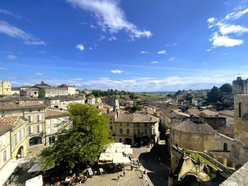bordeaux-st-emilion-vineyards-e-bike-tour-with-wine-lunch