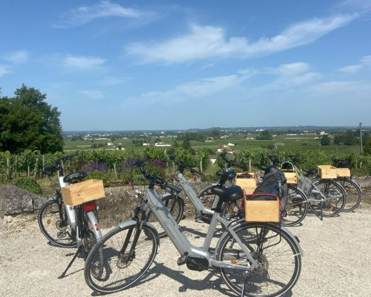 bordeaux-st-emilion-vineyards-e-bike-tour-with-wine-lunch