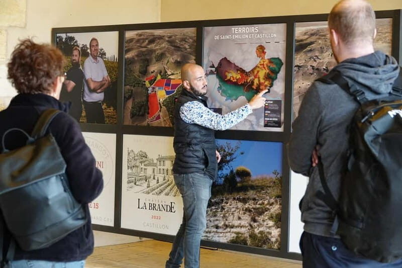 Bordeaux: St. Emilion Wine and E-Bike Tour with Lunch - Value and Practical Aspects