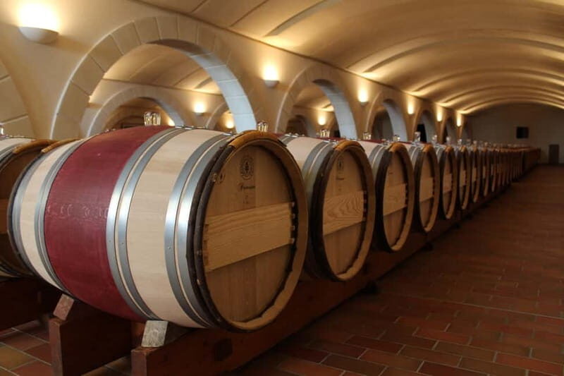 Bordeaux: St. Emilion Wine and E-Bike Tour with Lunch - Who Will Love This Tour?