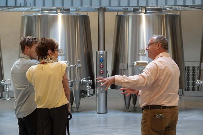 Bordeaux: St. Emilion Wine and E-Bike Tour with Lunch - The Sum Up
