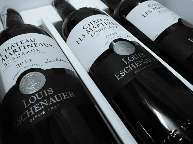 Bordeaux: St. Emilion Wine Tour with Private Shore Excursion - Key Points