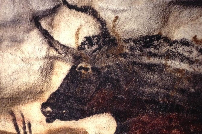 bordeaux-to-lascaux-and-dordogne-valley-private-sightseeing-tour