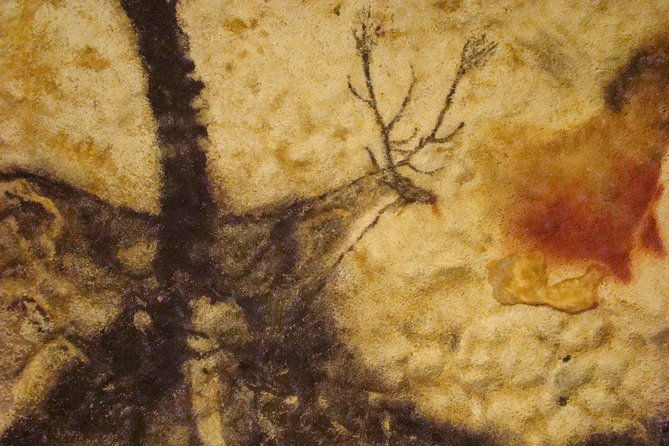 bordeaux-to-lascaux-and-dordogne-valley-private-sightseeing-tour
