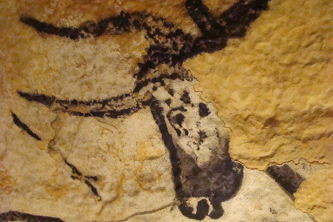 bordeaux-to-lascaux-and-dordogne-valley-private-sightseeing-tour