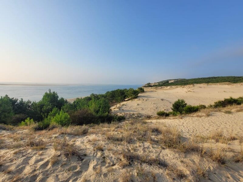 bordeaux-tour-of-the-bassin-darcachon-and-dune-du-pilat-with-driver-guide