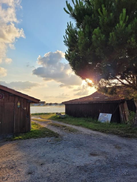 bordeaux-tour-of-the-bassin-darcachon-and-dune-du-pilat-with-driver-guide