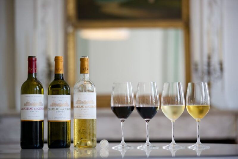 bordeaux-vineyards-wine-tasting-half-day-trip