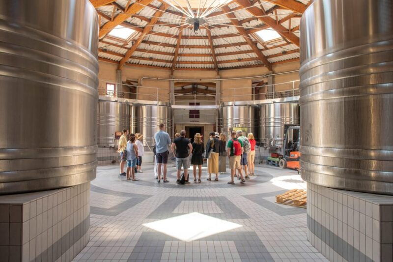 bordeaux-vineyards-wine-tasting-half-day-trip