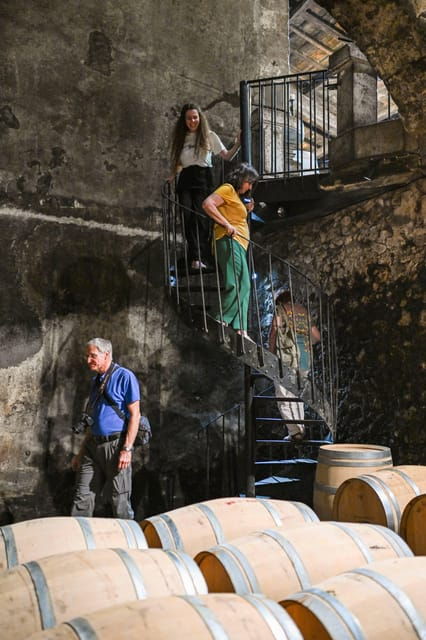 bordeaux-vineyards-wine-tasting-half-day-trip
