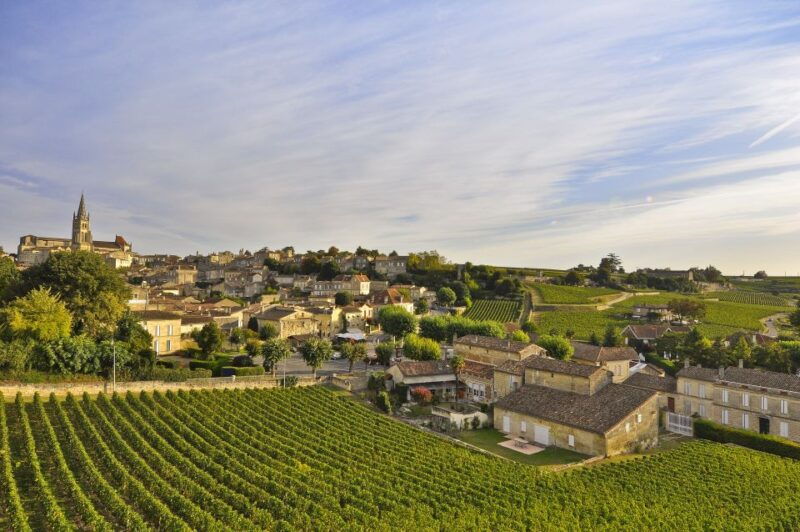 bordeaux-vineyards-wine-tasting-half-day-trip