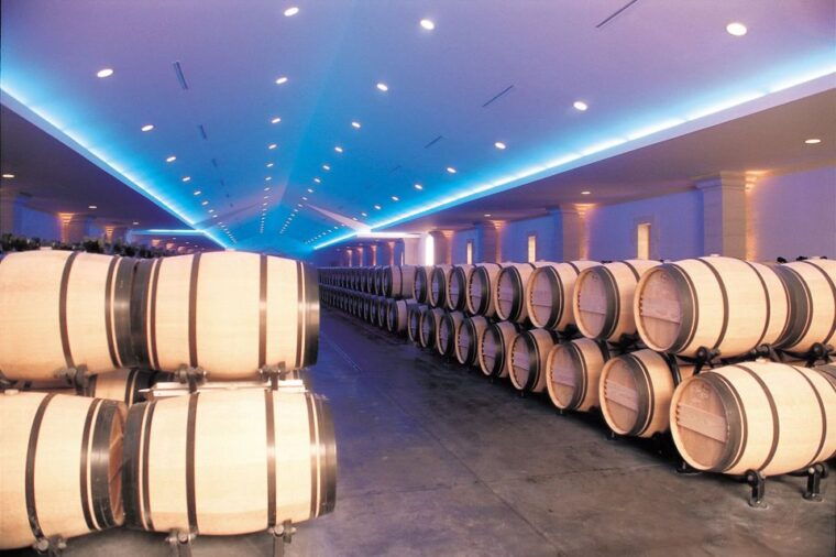 bordeaux-vineyards-wine-tasting-half-day-trip