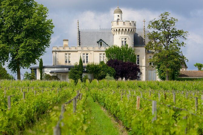 bordeaux-wine-cellar-private-guided-tour-from-san-sebastian