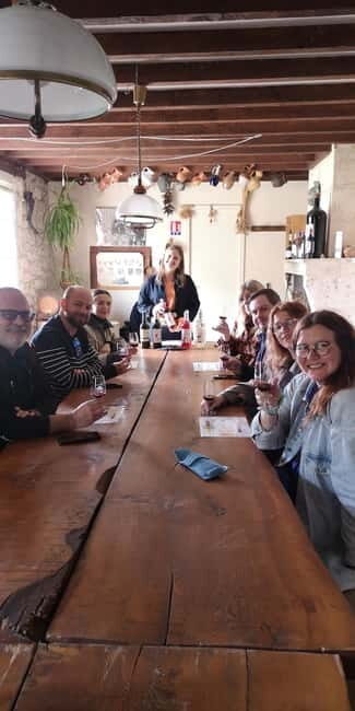 Bordeaux wine tour: 2 wineries & wine tastings (red & white) - An Overview of the Bordeaux Wine Tour
