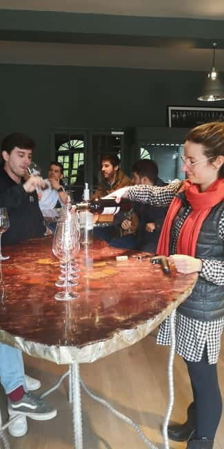 Bordeaux wine tour: 2 wineries & wine tastings (red & white) - In-Depth: What to Expect at Each Stop