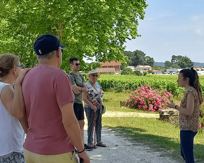 bordeaux-wine-tour-2-wineries-wine-tastings-red-white