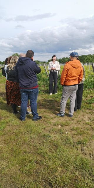 bordeaux-wine-tour-2-wineries-wine-tastings-red-white