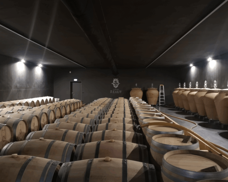 bordeaux-wine-tour-2-wineries-wine-tastings-red-white