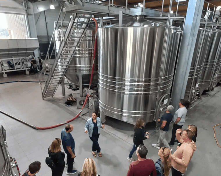 bordeaux-wine-tour-2-wineries-wine-tastings-red-white