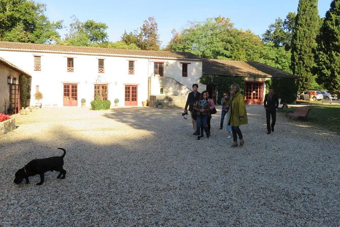 bordeaux-wine-tour-and-tasting