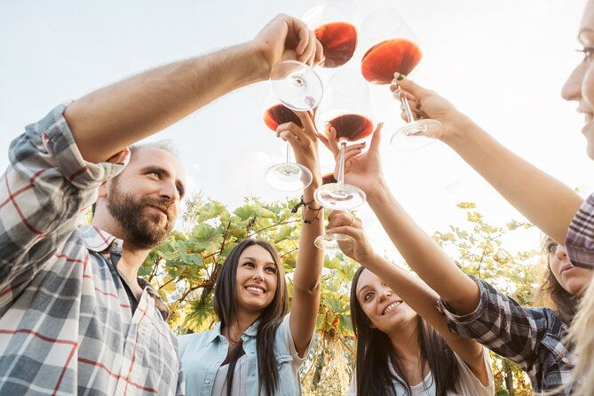 bordeaux-wine-tour-and-tasting
