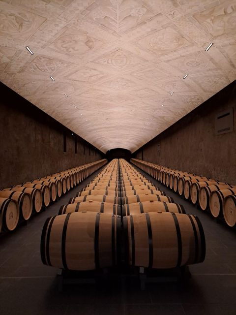 bordeaux-wine-tours